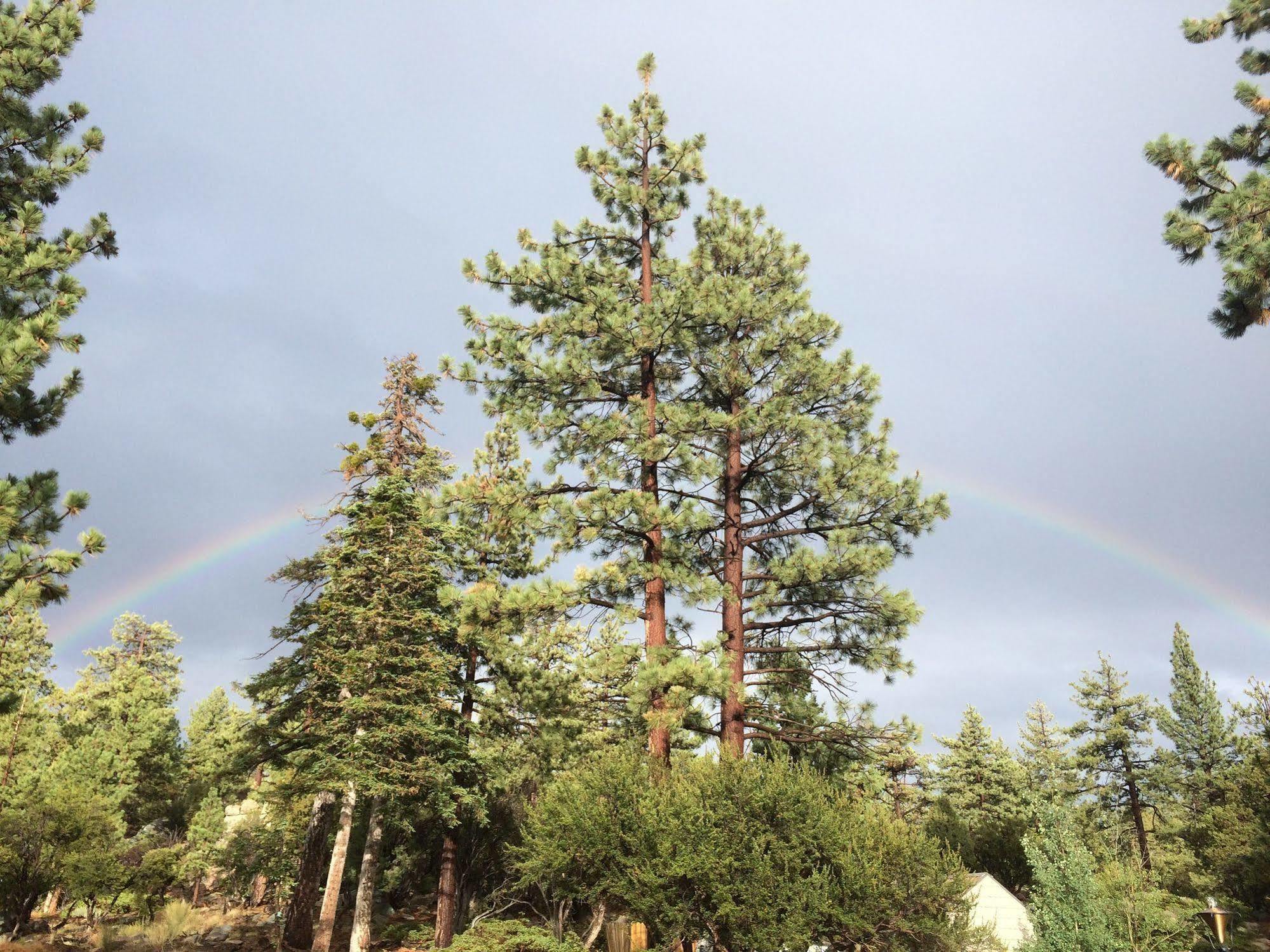 Cienaga Creek Ranch Villa Big Bear Lake Kültér fotó