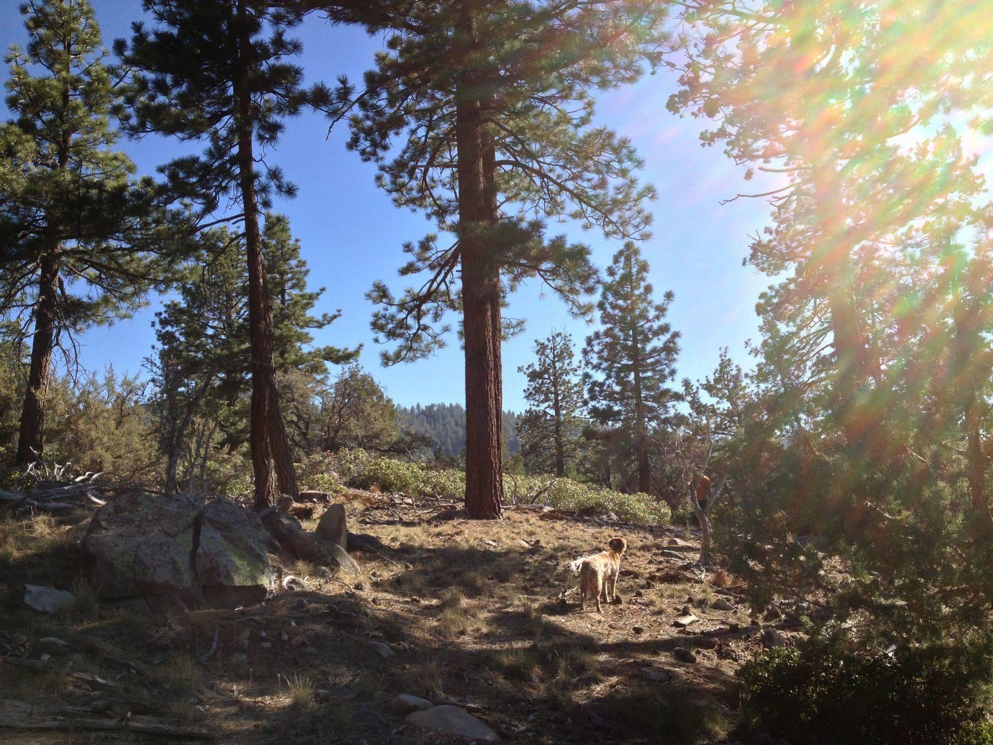 Cienaga Creek Ranch Villa Big Bear Lake Kültér fotó